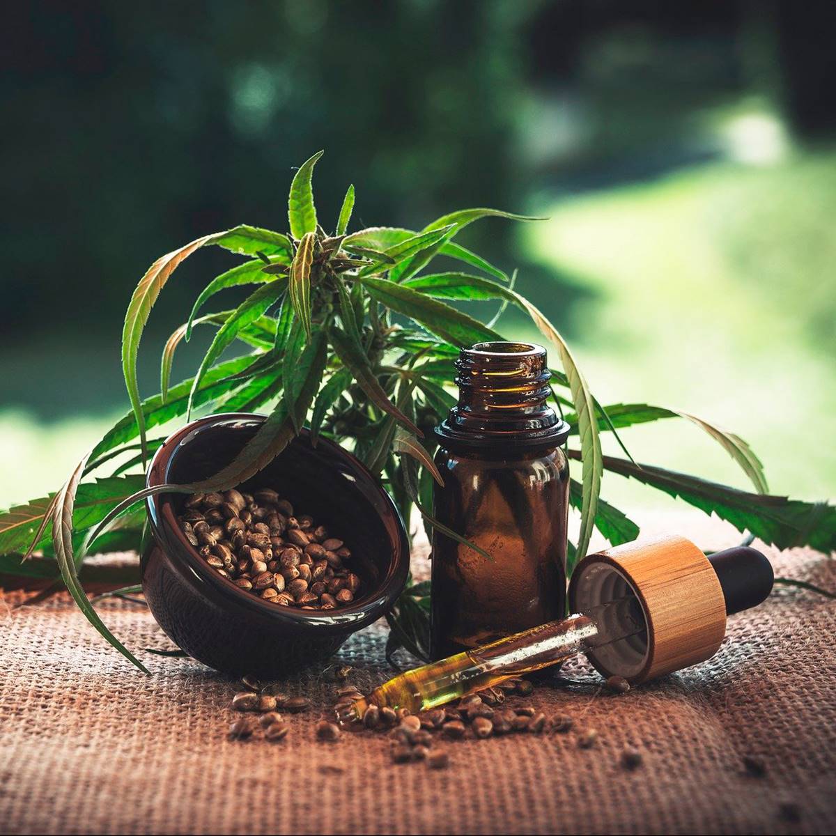 aceite cbd