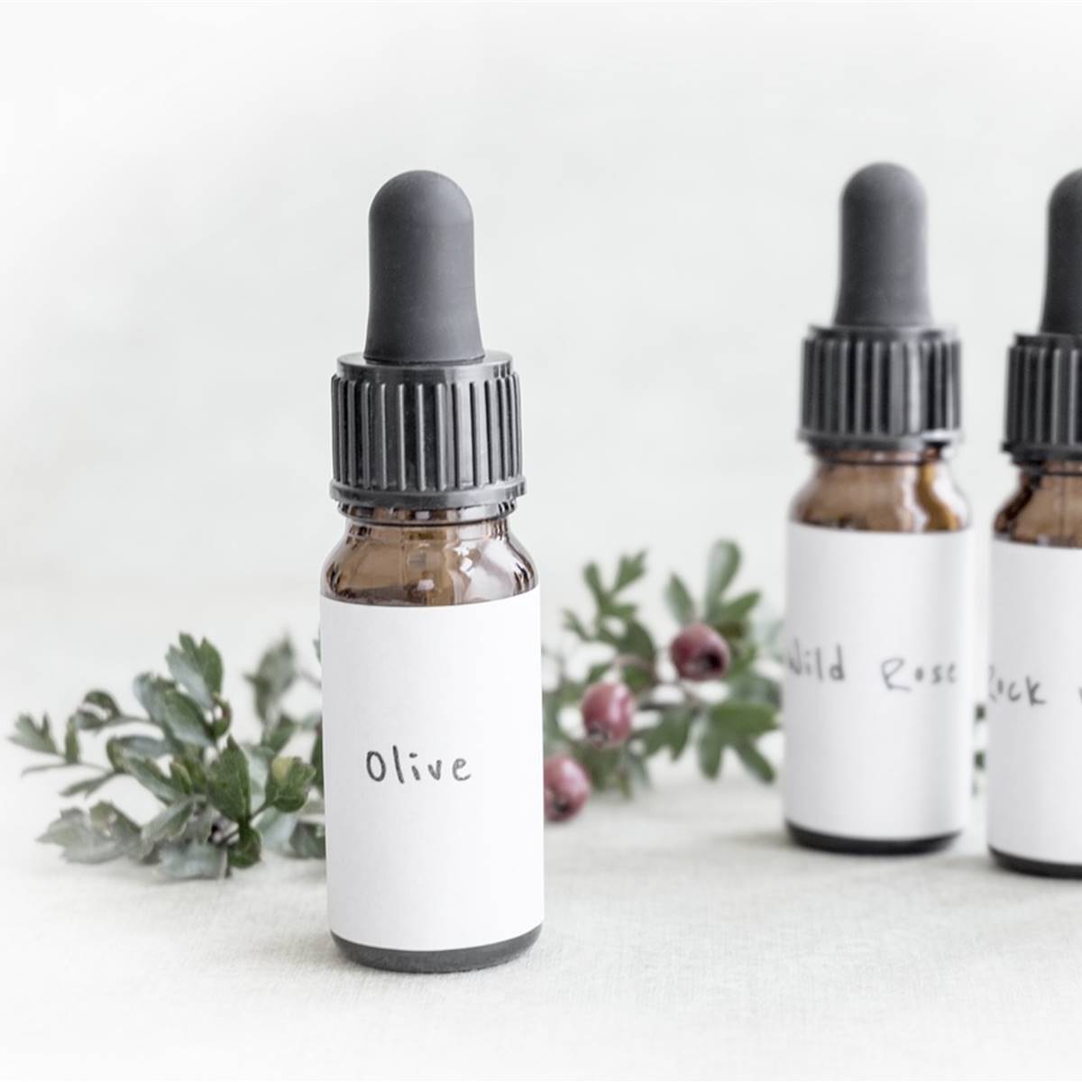 homeopatia-sistema-digestivo