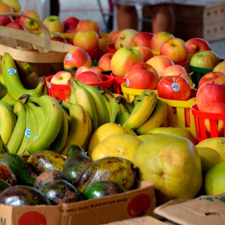 7 medidas para tirar menos comida en casa