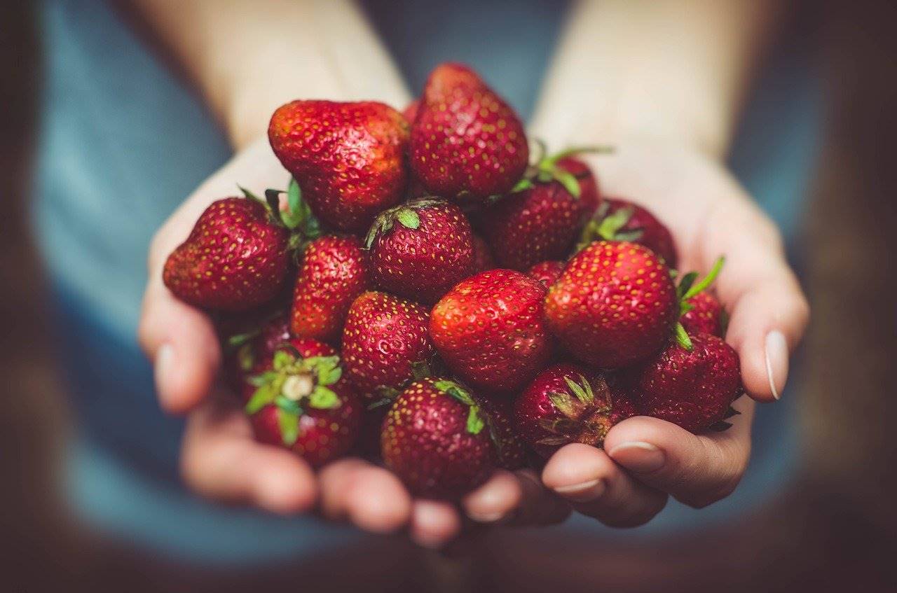 fresas