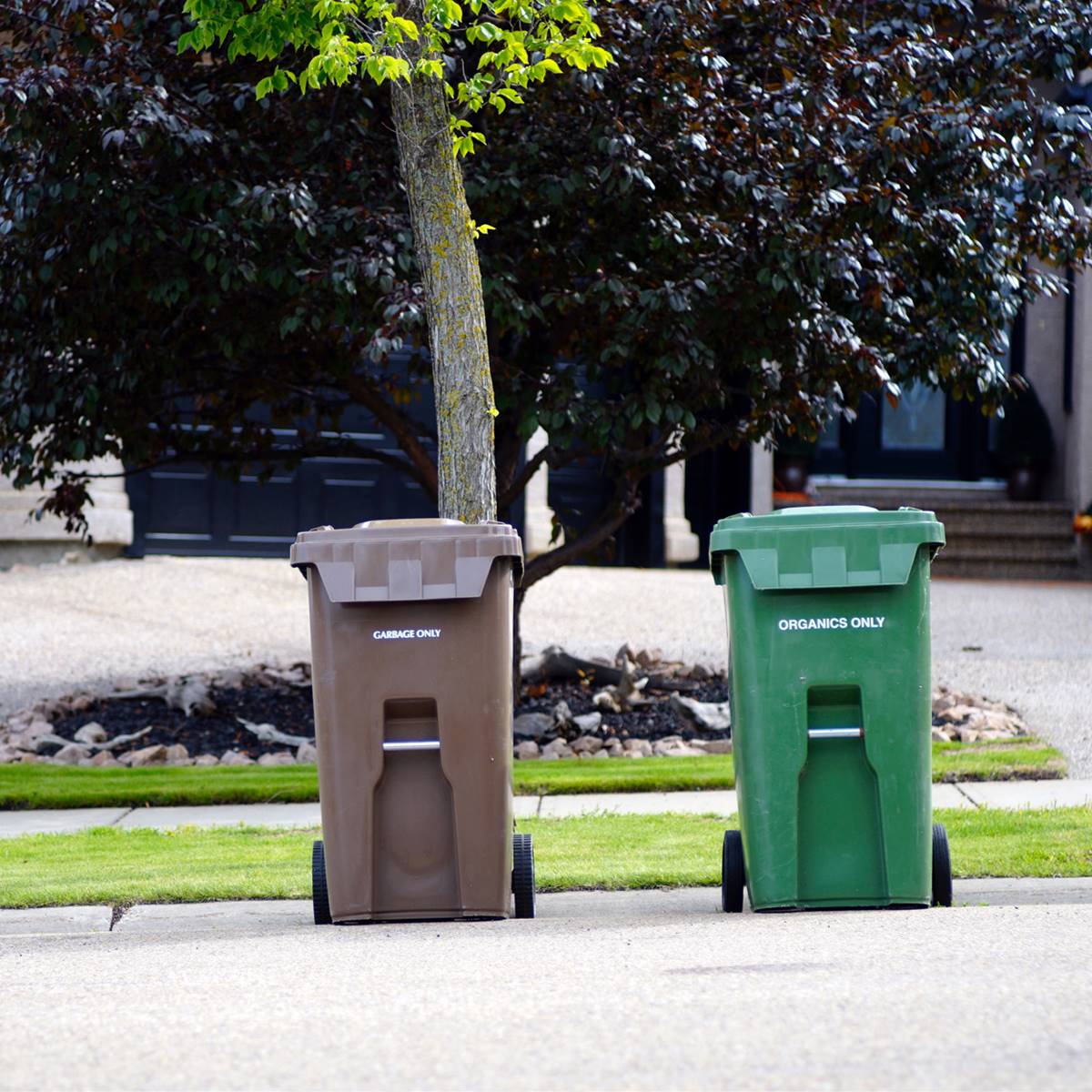 basura