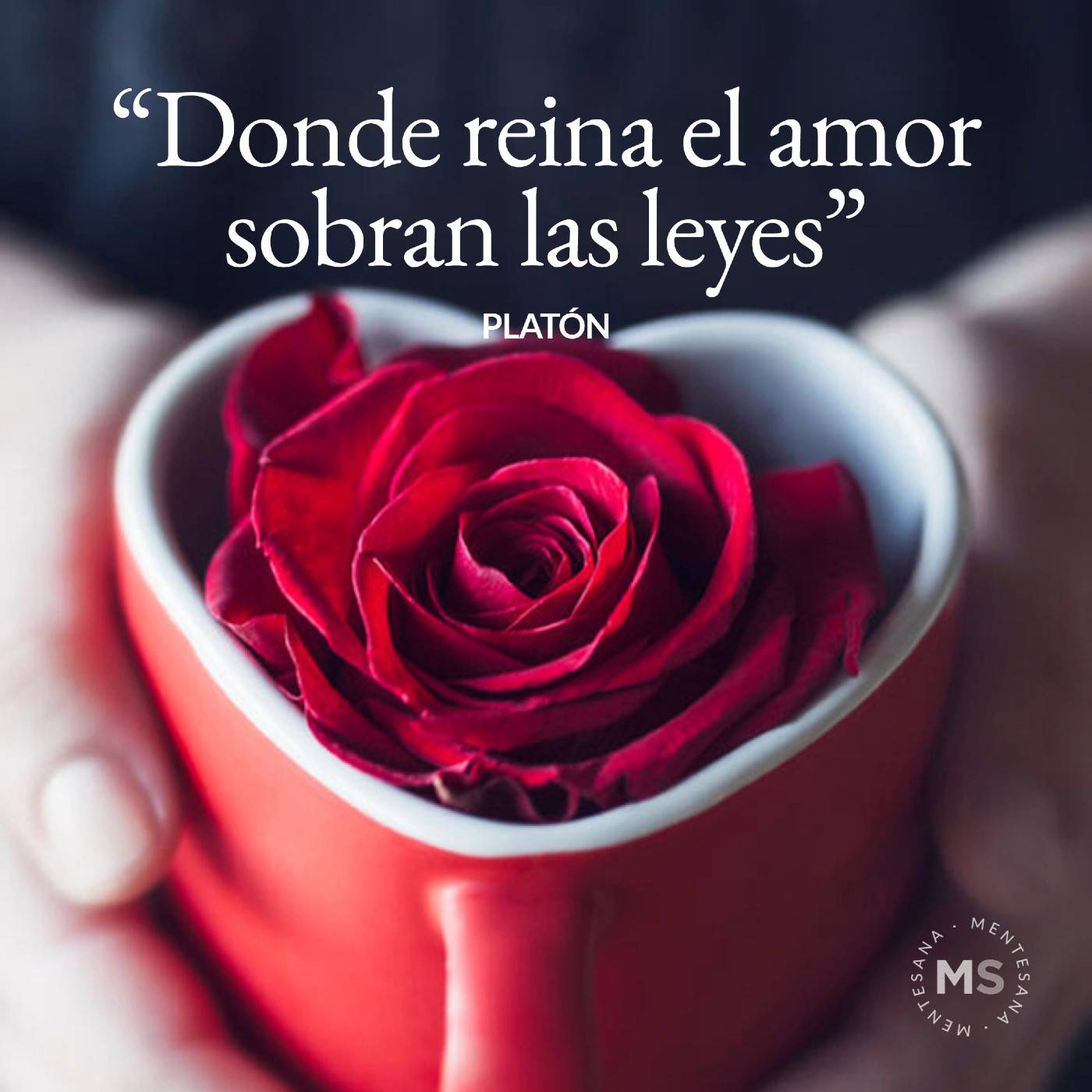 Top 45+ imagen frases de amor que llegan al alma