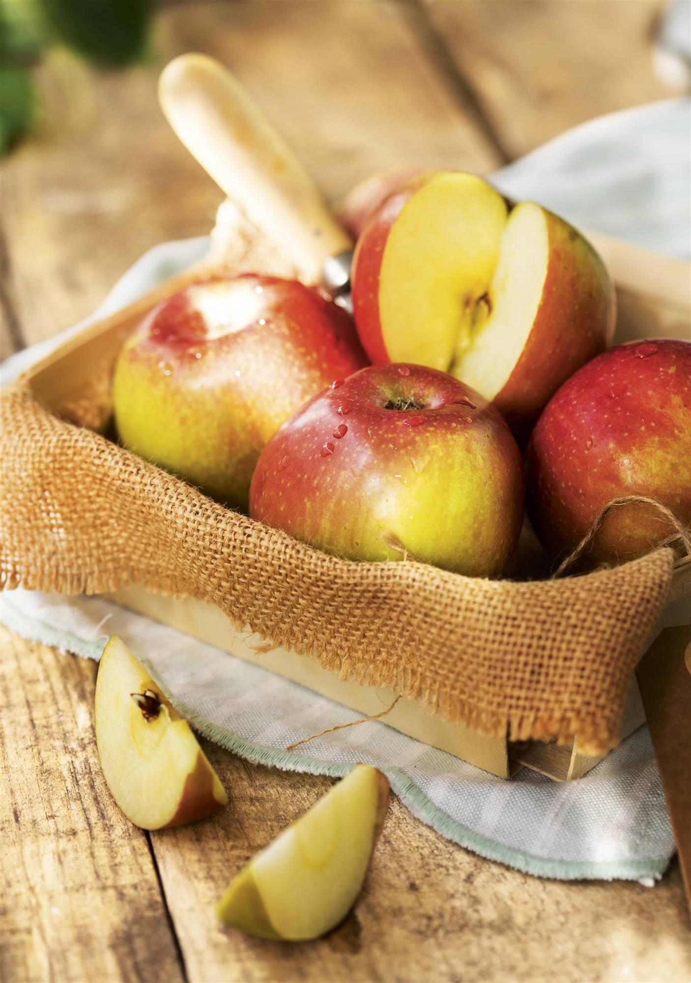RBA 00494349 O. La manzana protege los pulmones