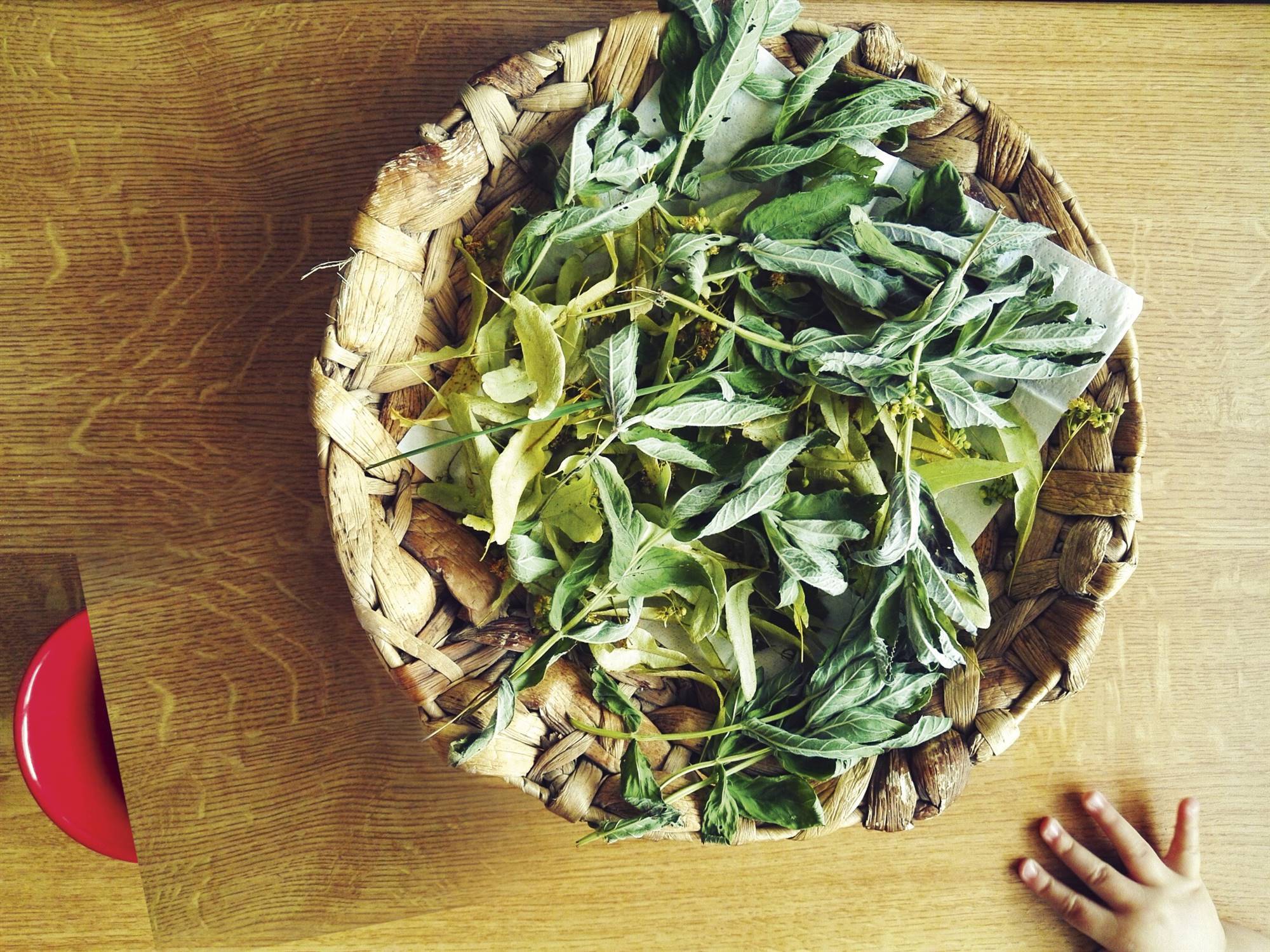GettyImages-681935357. Poderoso y delicioso té blanco