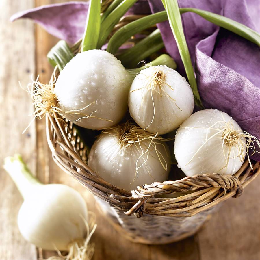 6 alimentos que fortalecen tus pulmones 