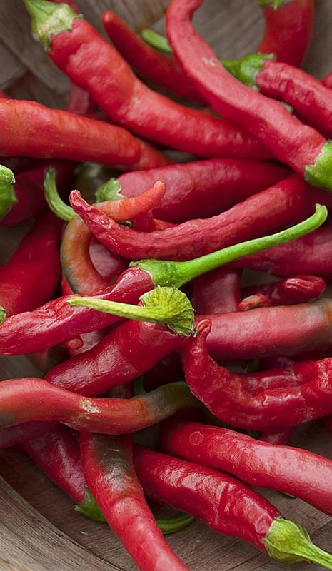Guindilla Beneficios Medicinales Del Picante