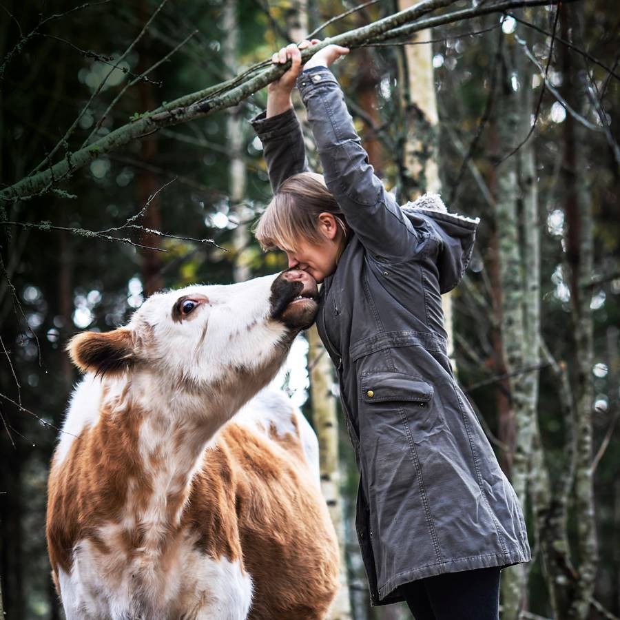 Mujeres que luchan por los animales. ¡Conócelas!