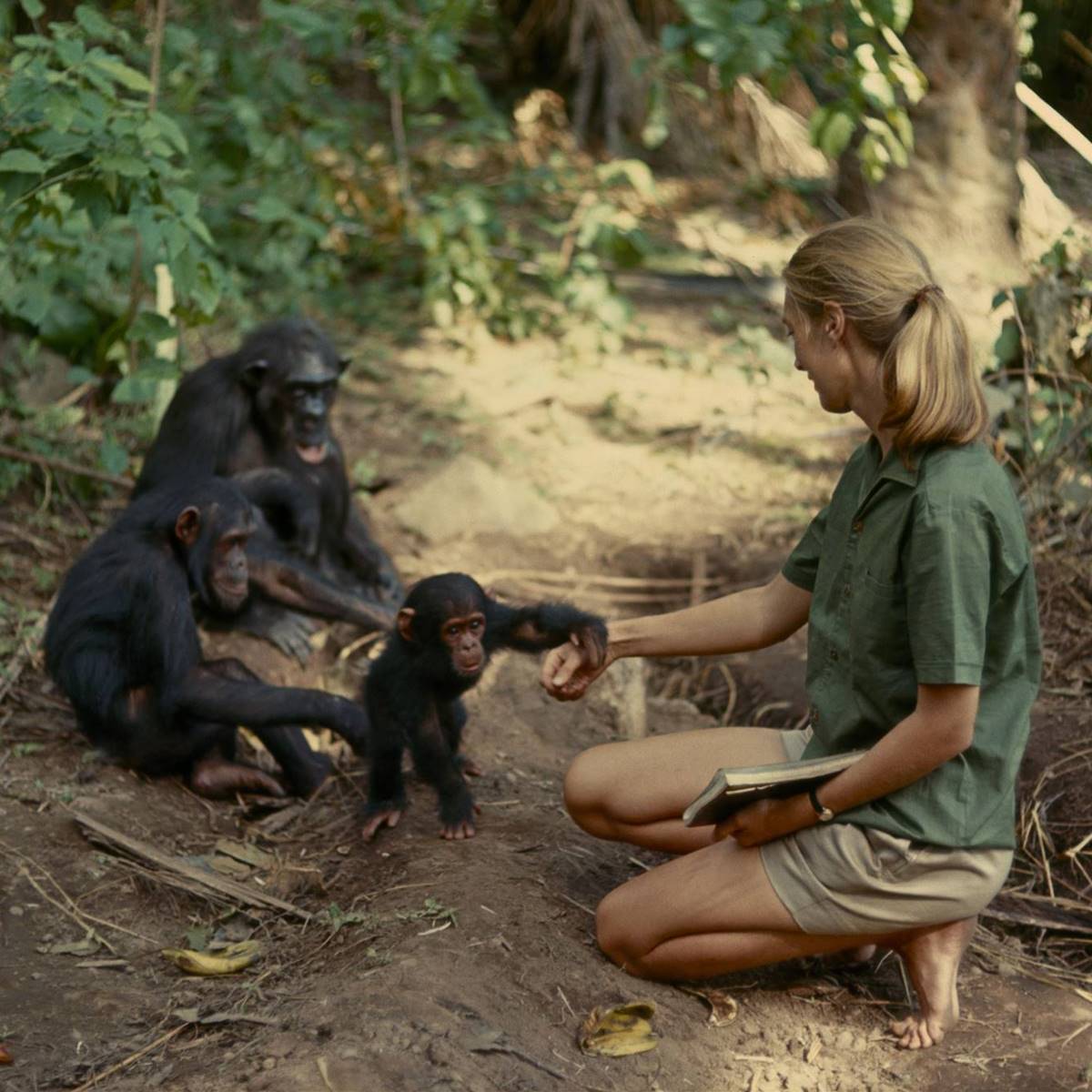 Jane Goodall