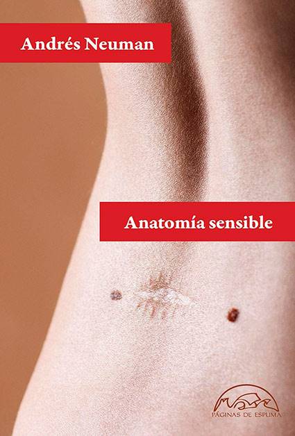 Anatomía sensible