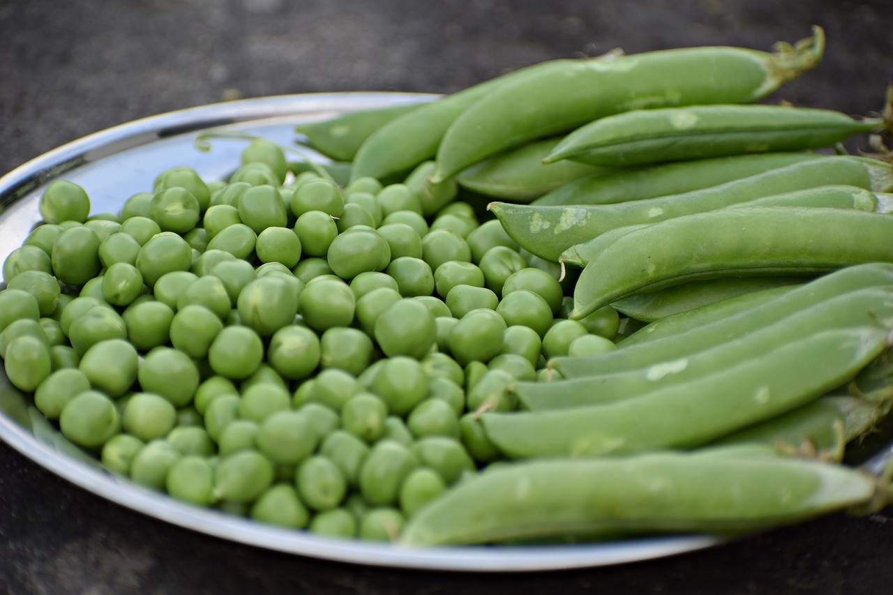 guisantes