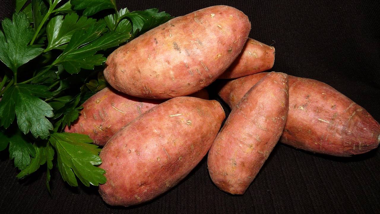 patata-red-pontiac