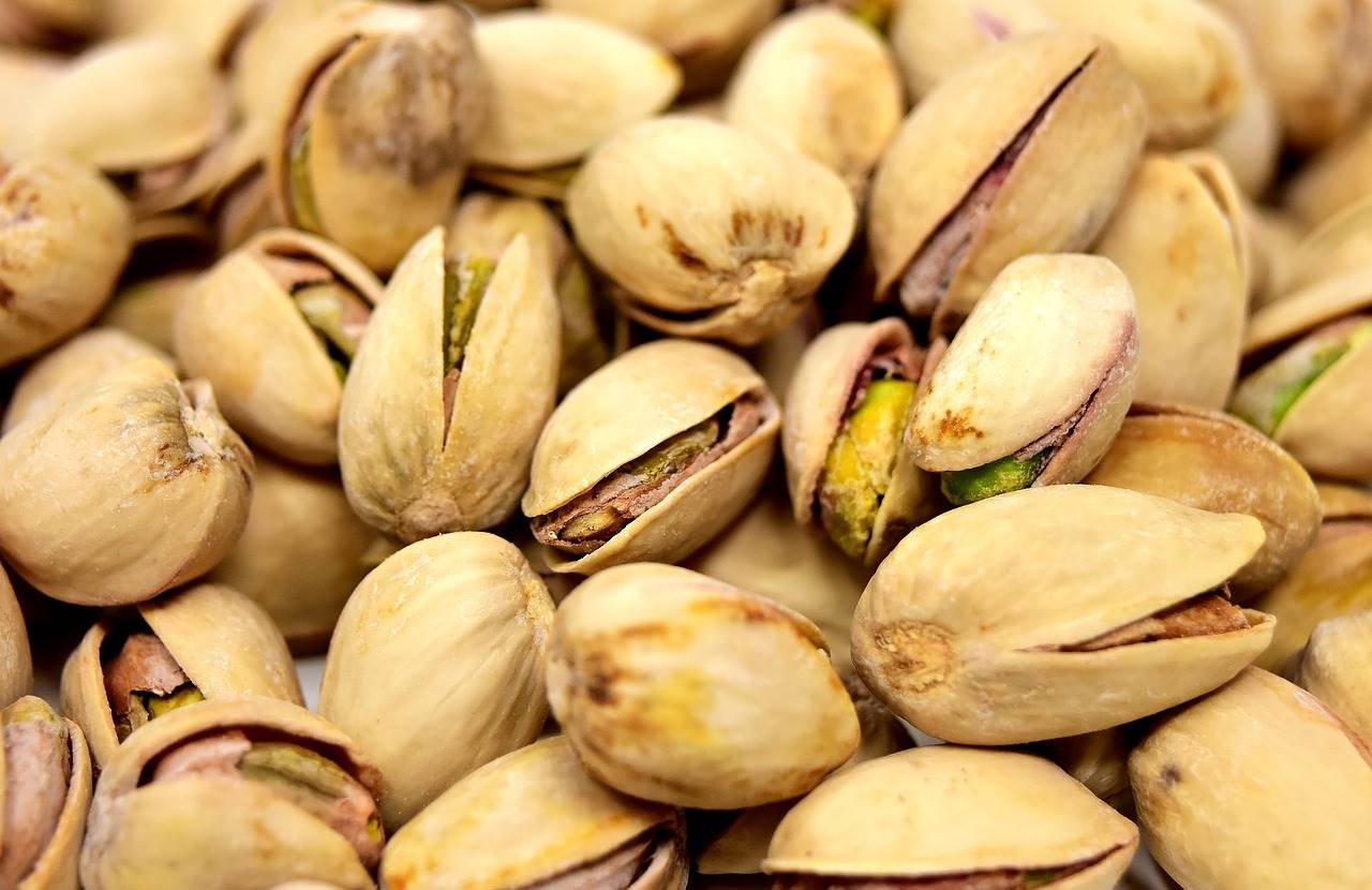 pistachos-primavera