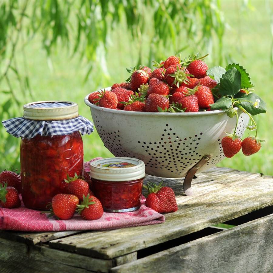 6 recetas para disfrutar de las fresas como nunca