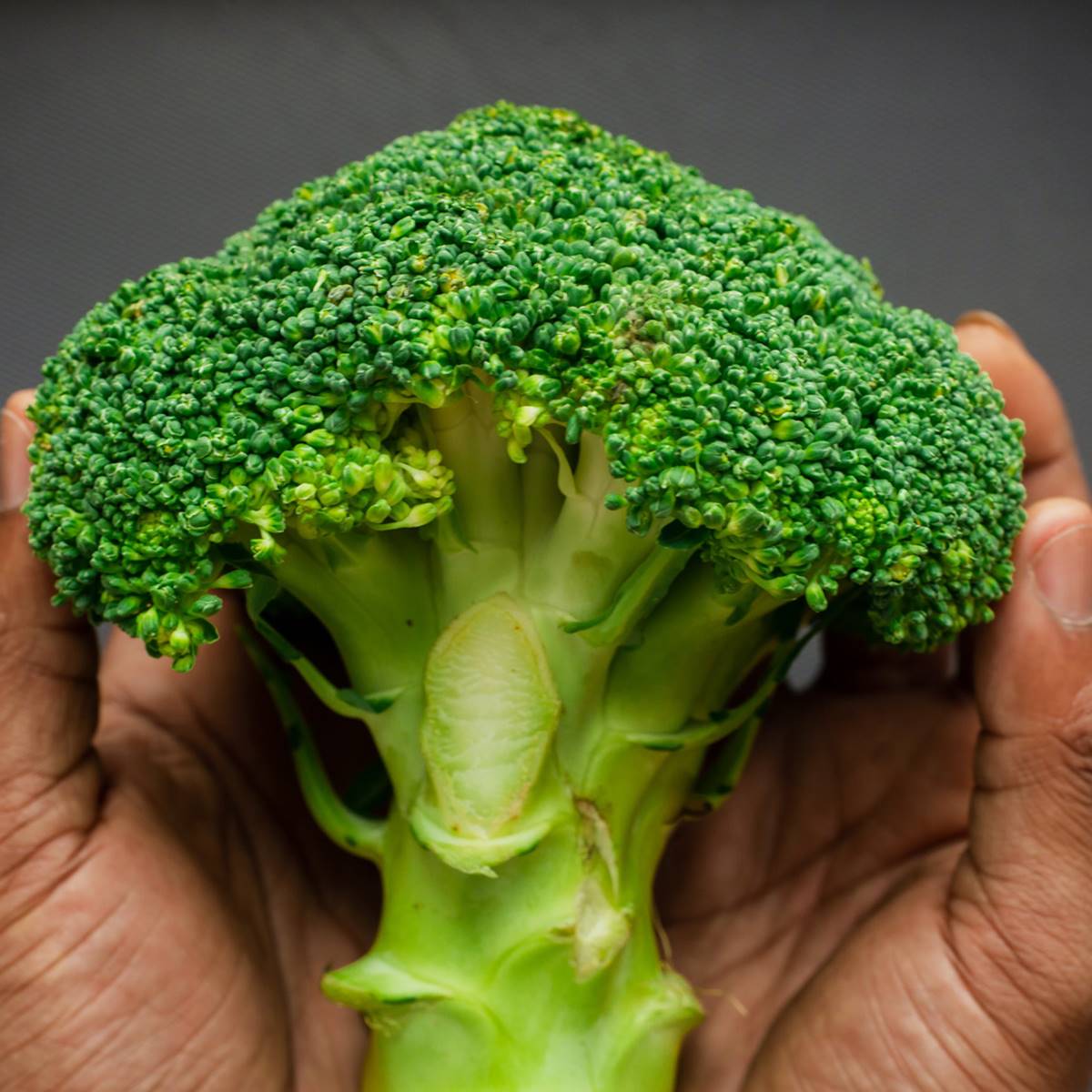 brocoli en las manos