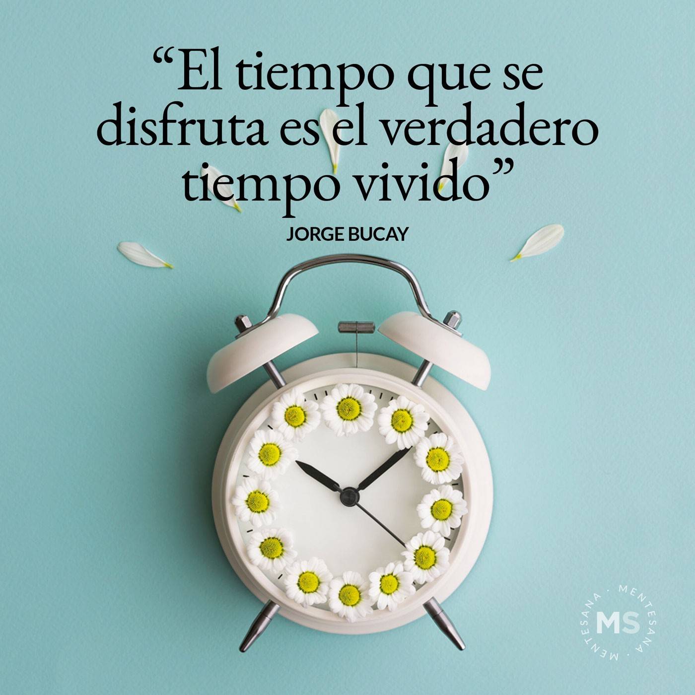 Descubrir 57+ imagen frases celebrando la vida