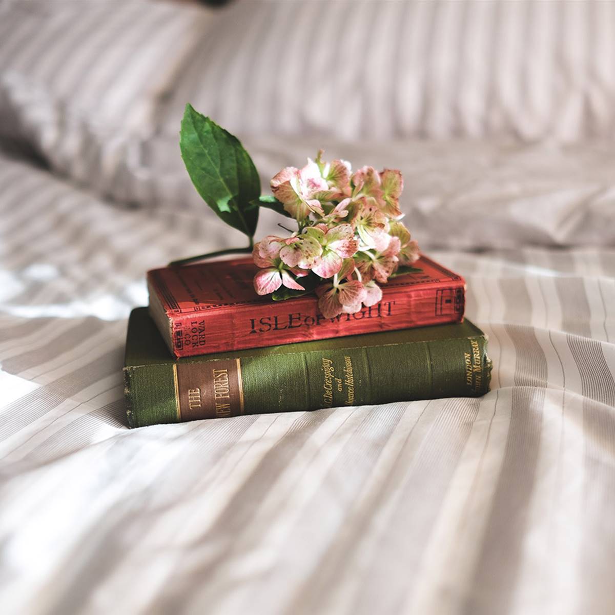libros en una cama