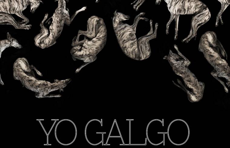 yo-galgo-documental-veganismo
