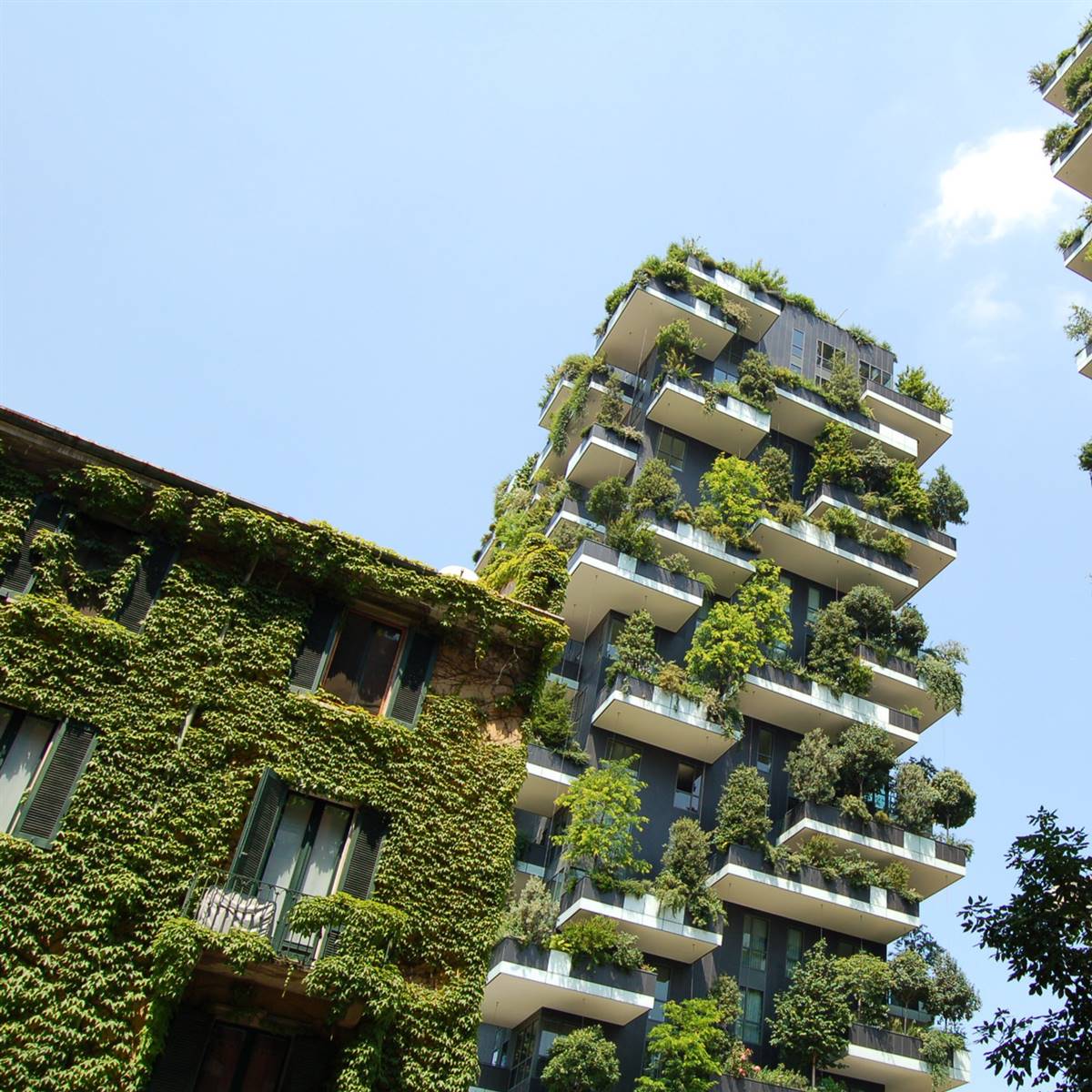 edificio verde