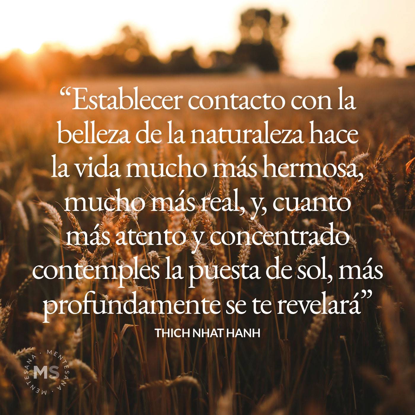 12 frases sobre naturaleza para conectarnos con ella