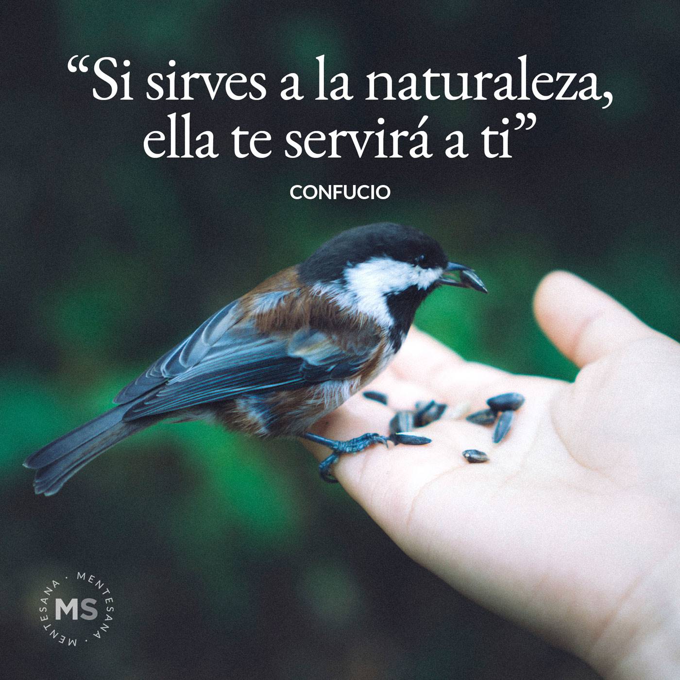 12 frases sobre naturaleza para conectarnos con ella