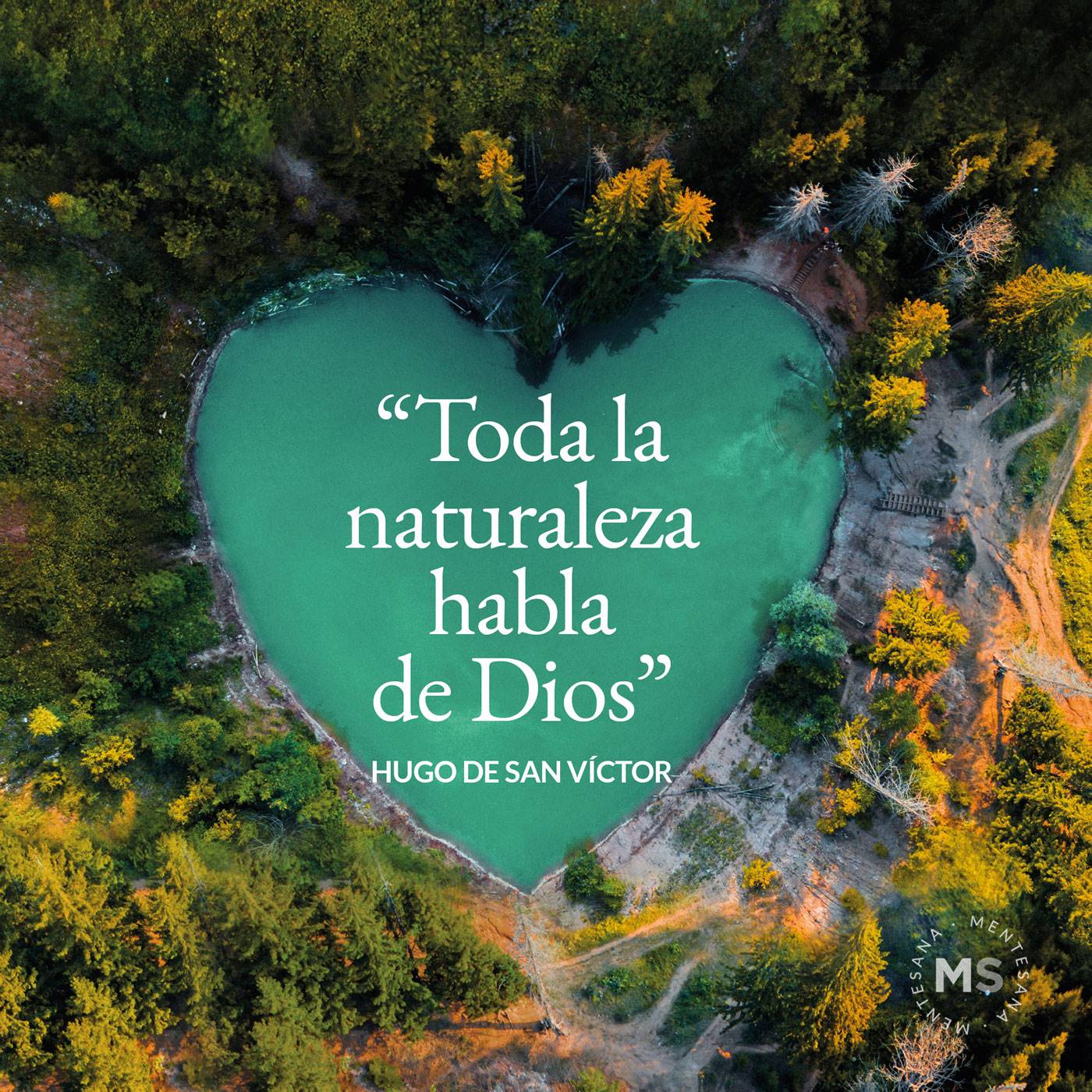 12 frases sobre naturaleza para conectarnos con ella