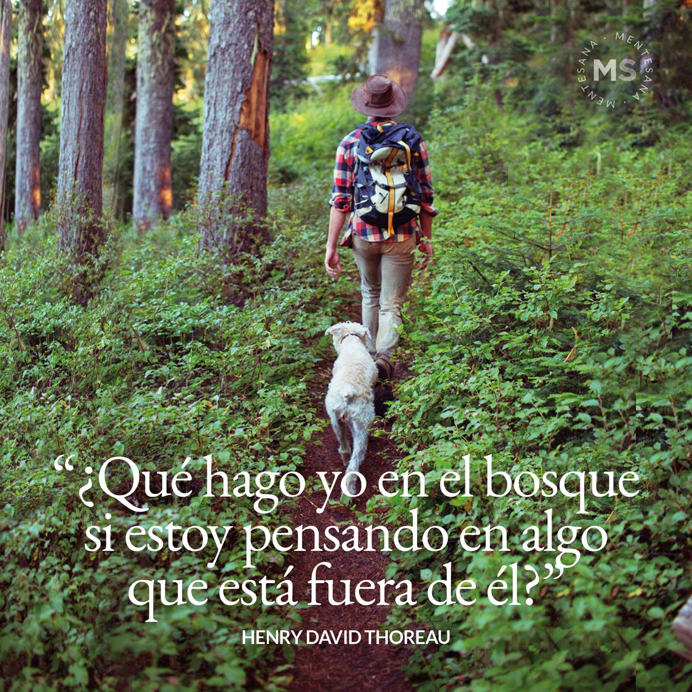 Introducir 56+ imagen frases de verde naturaleza