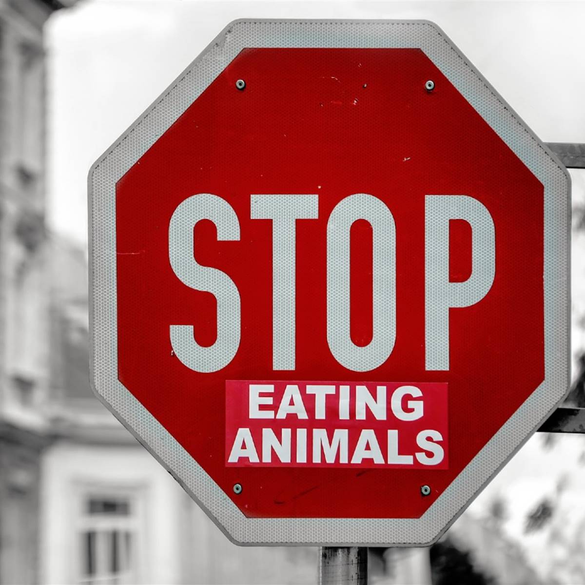 documentales-veganismo