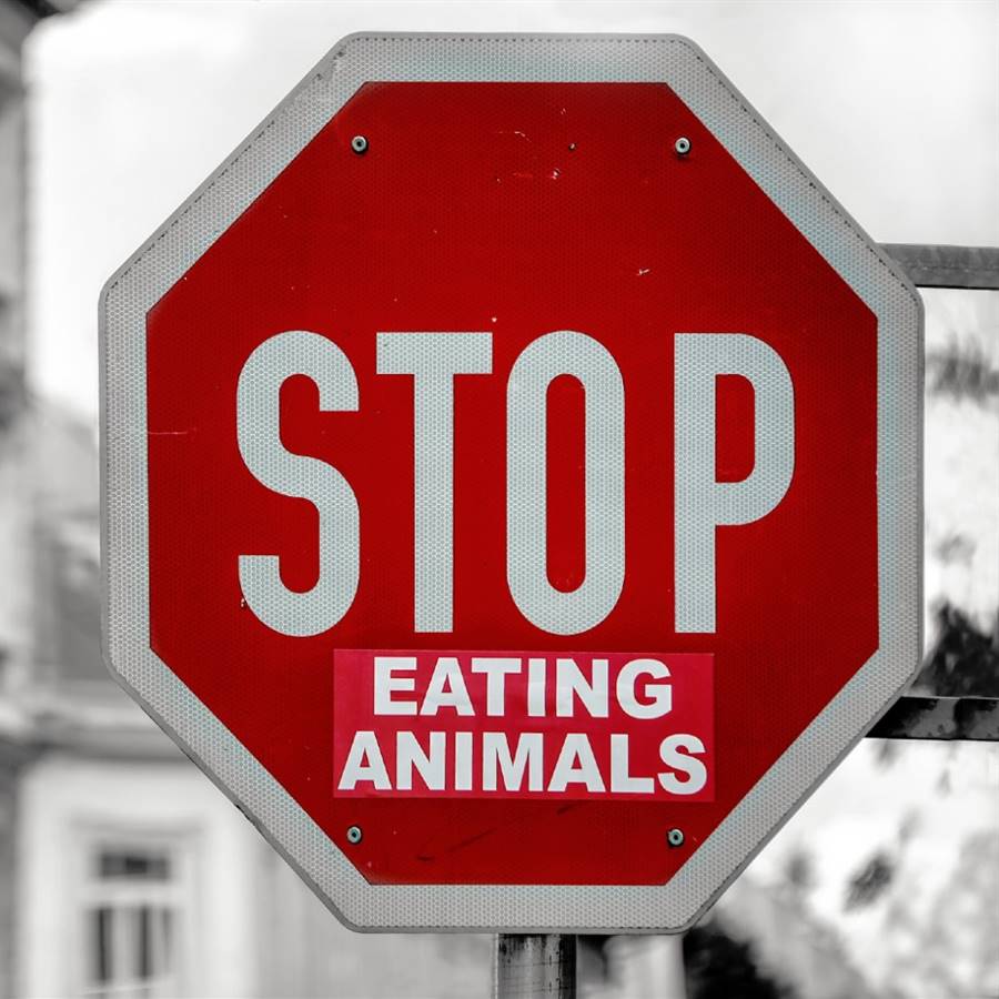 7 documentales sobre veganismo para ver estos días