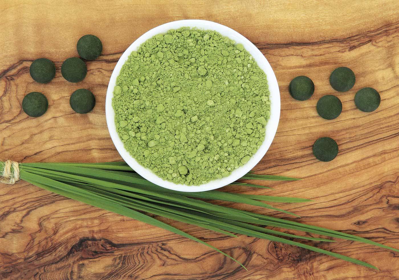 alga-chlorella