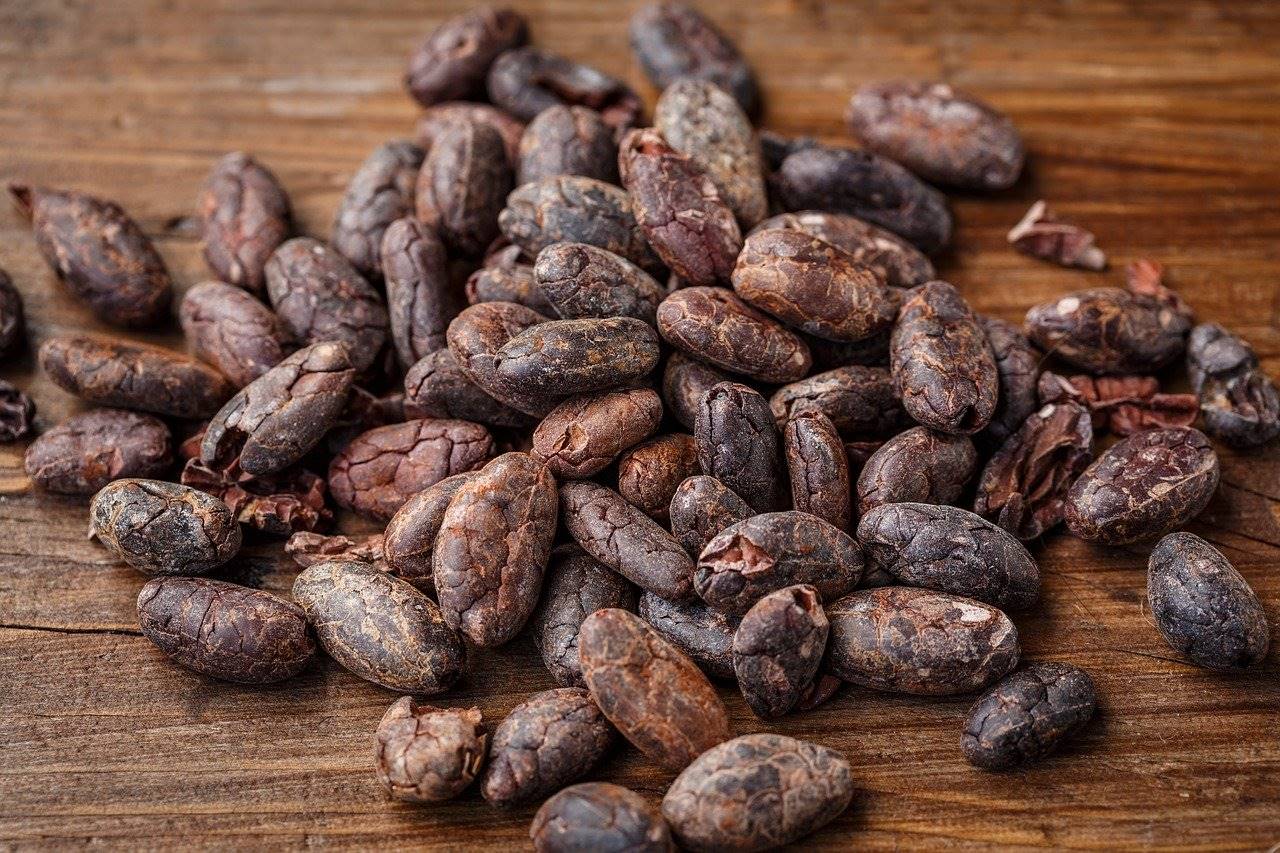 cacao