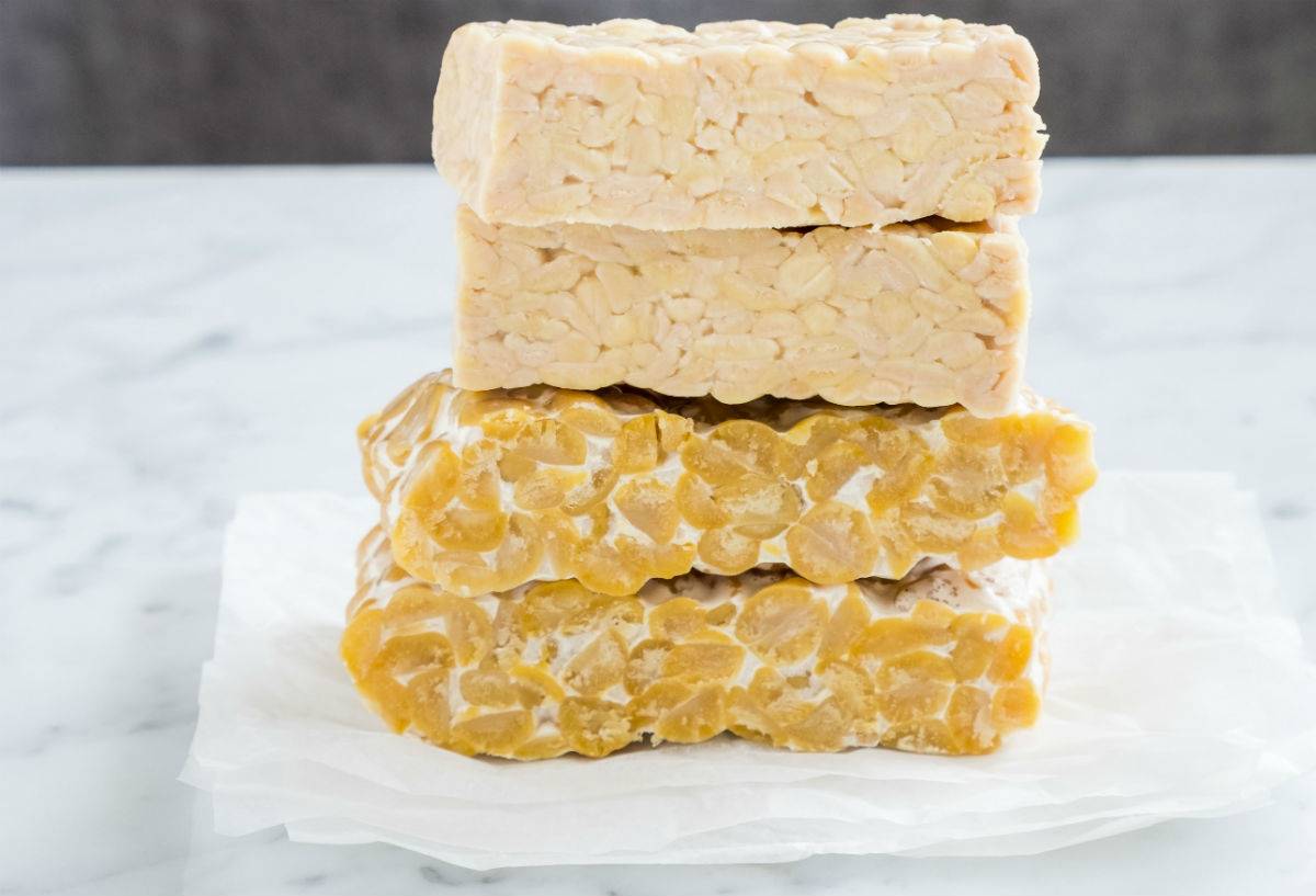 tempeh-antiaging