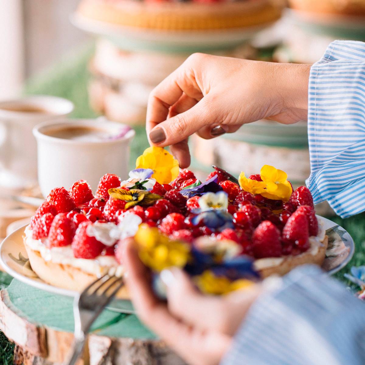 plato alimentos vegetales