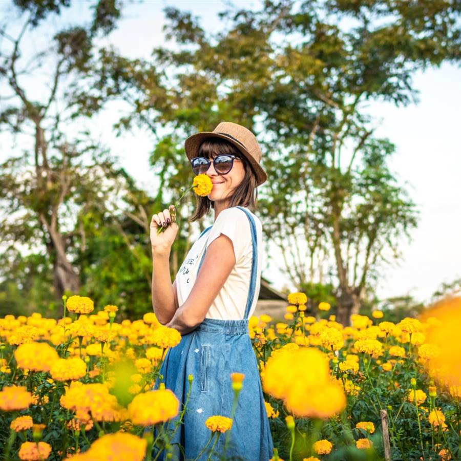¿Cuál es el secreto de una vida sana?