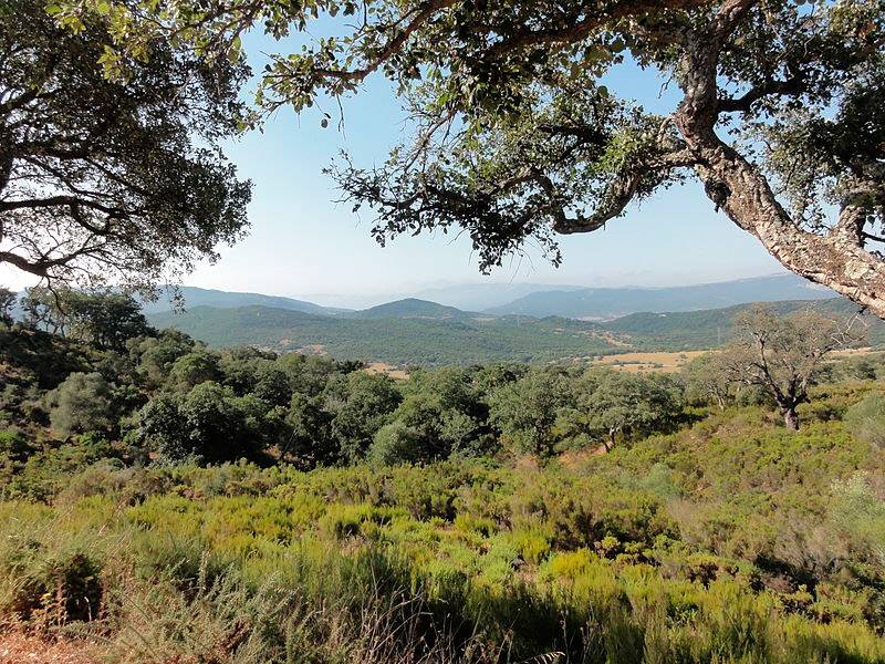 Parque Natural de los Alcornocales (Málaga y Cádiz)