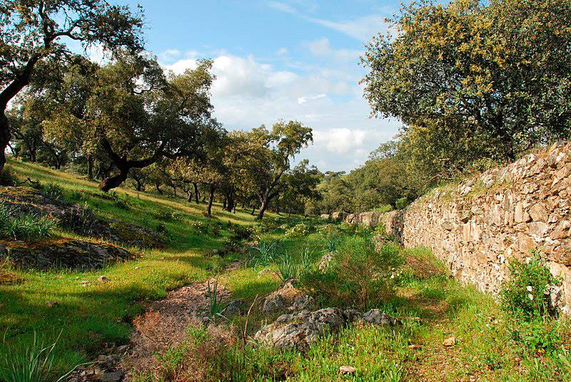 Sierra de Aracena y Picos de Aroche (Huelva)