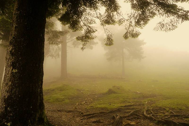 Tejeda de la Sierra del Sueve (Asturias)
