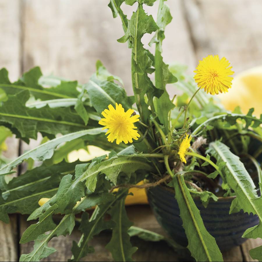 ¡Toca depurarse! 6 alimentos para eliminar toxinas