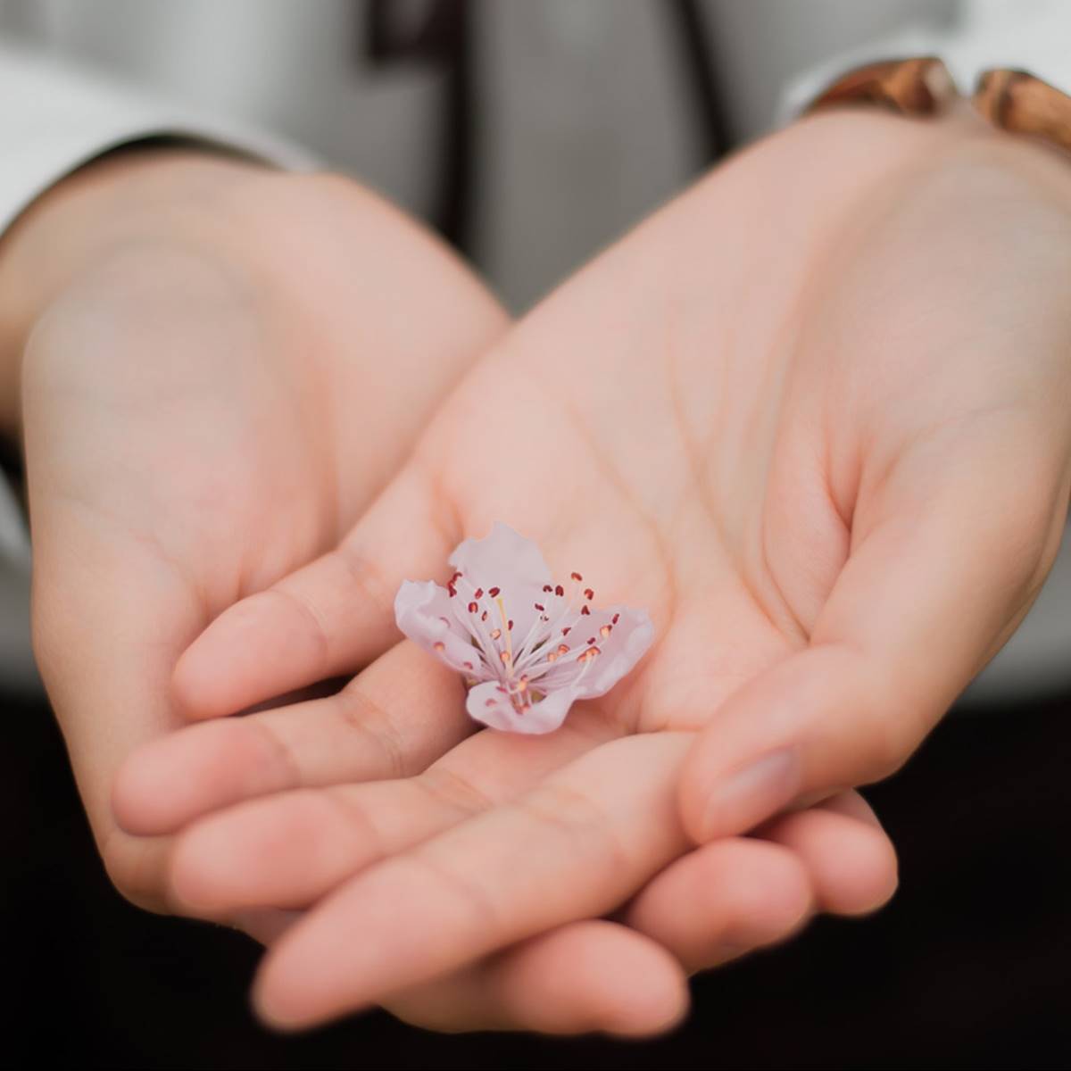 Mujer con flor en la palma de la mano