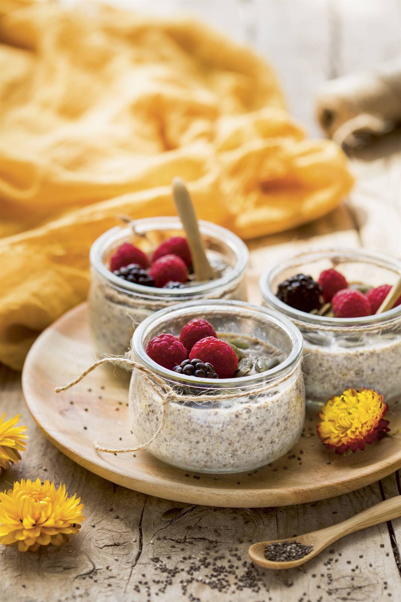 receta pudding de chia