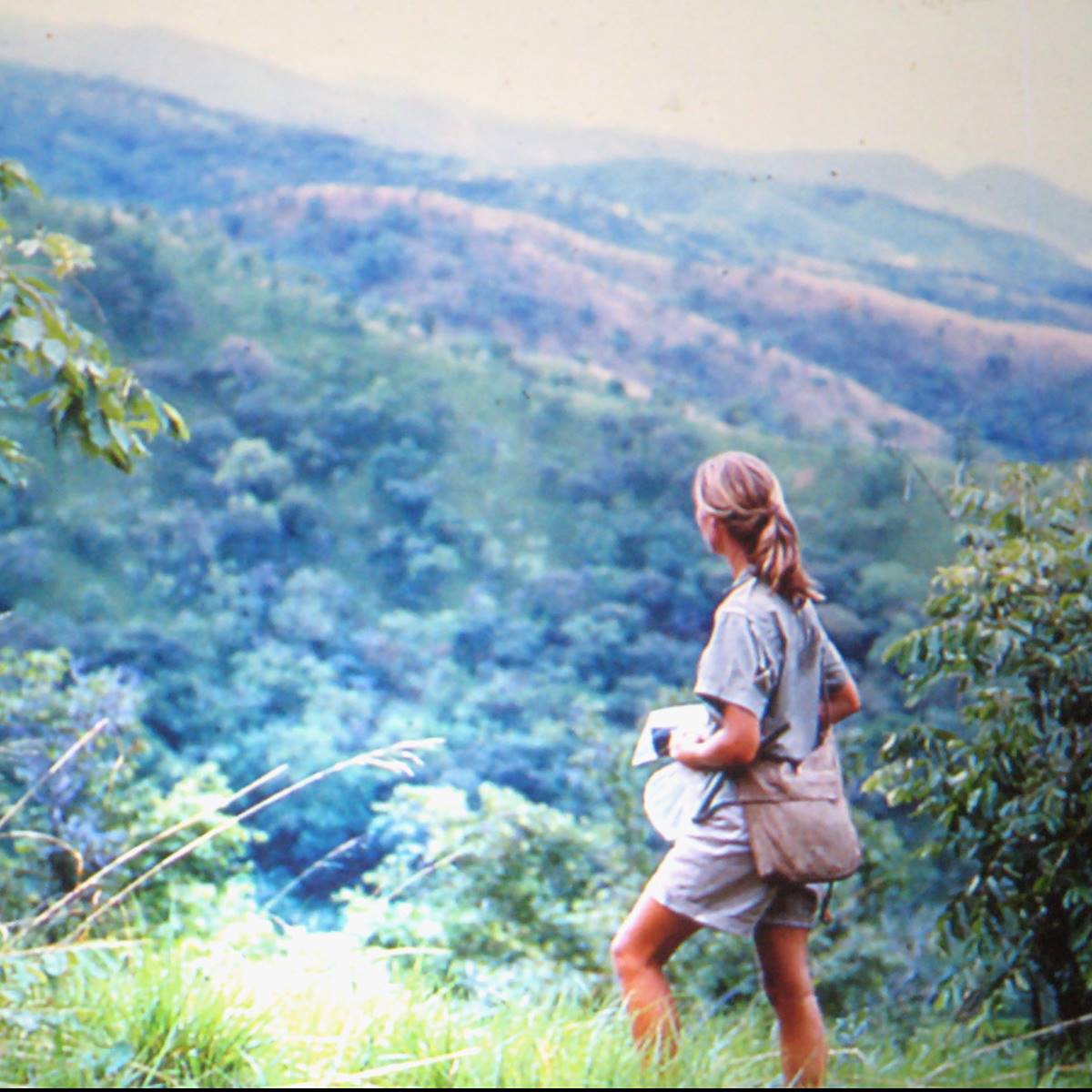 jane goodall