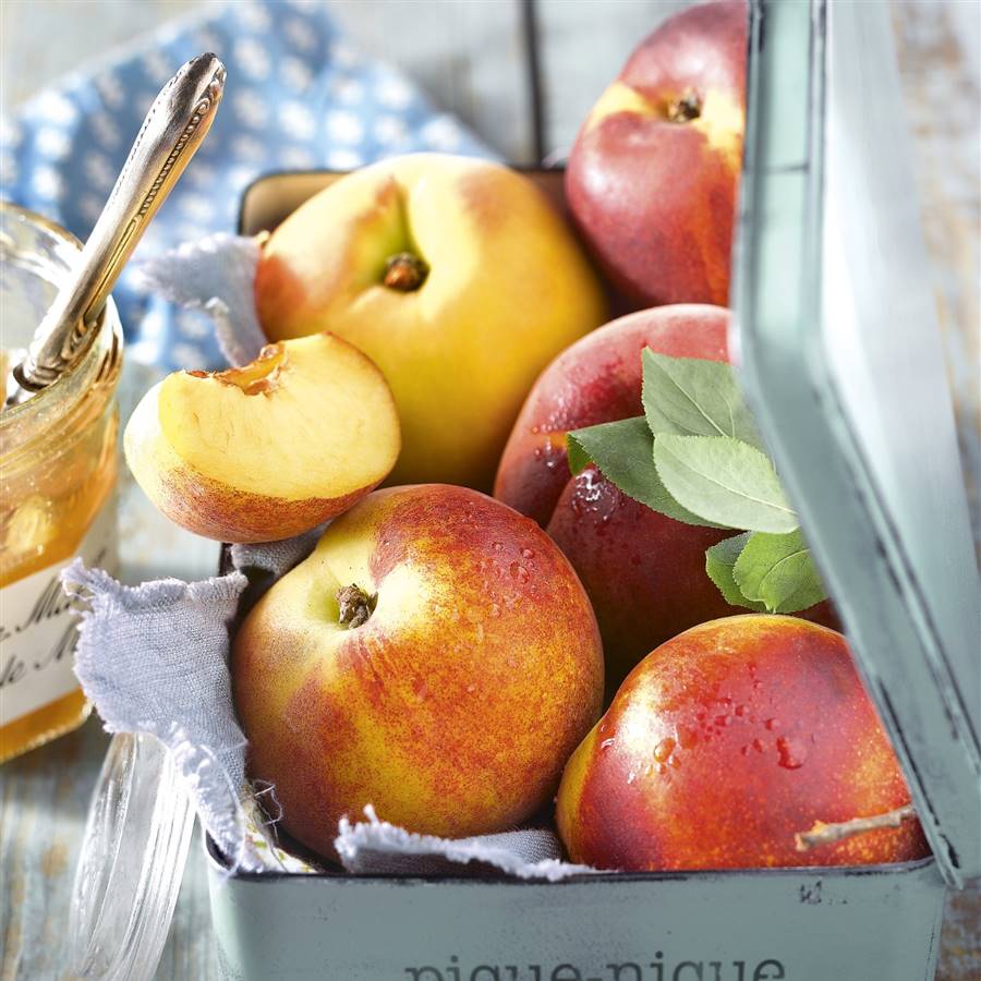6 sabores de verano que potencian tu salud 