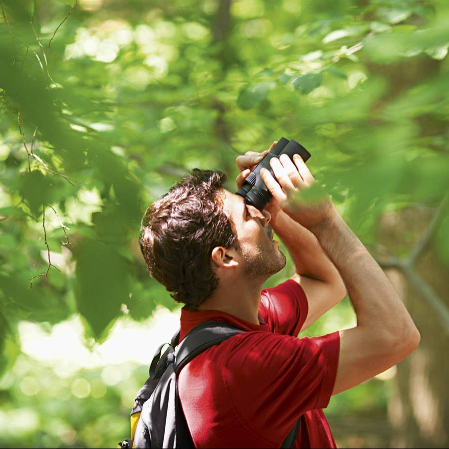 12 planes para disfrutar de la naturaleza con conciencia