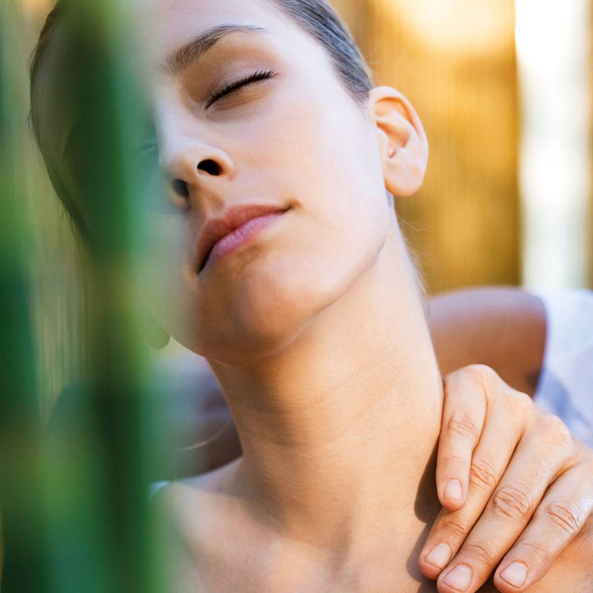 terapia dolor