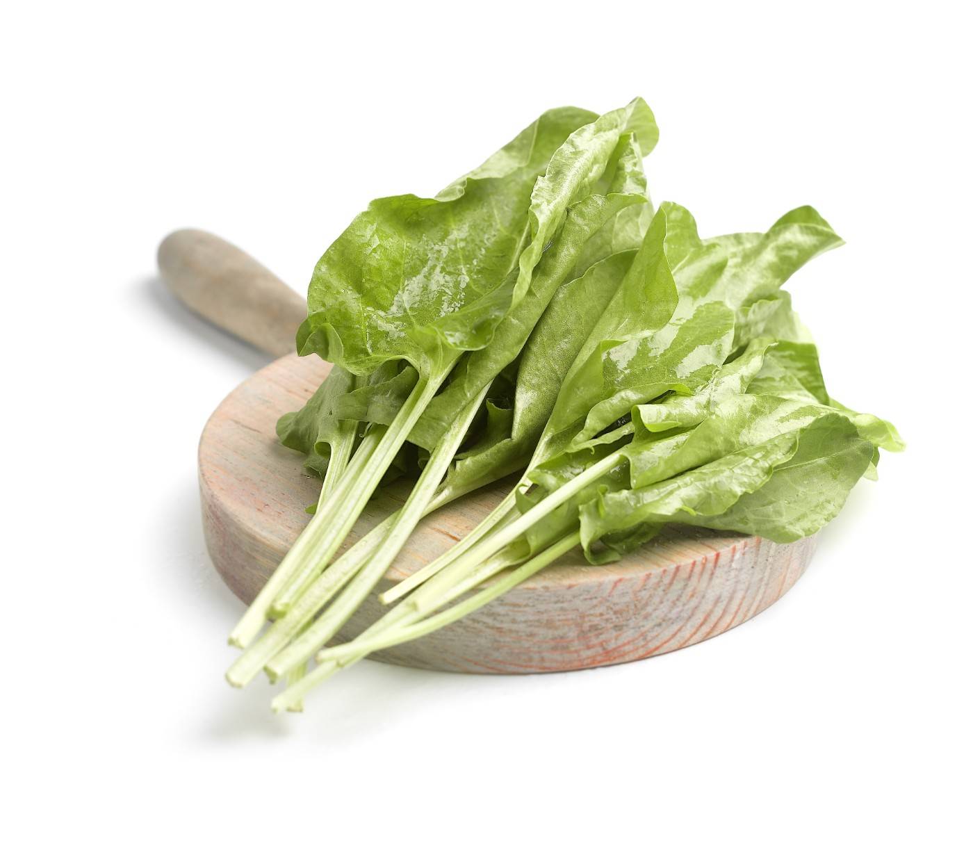 ACEDERA