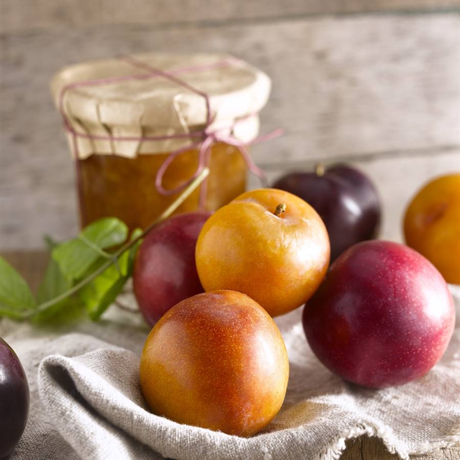 6 alimentos que darán color y sabor a tu mesa en verano