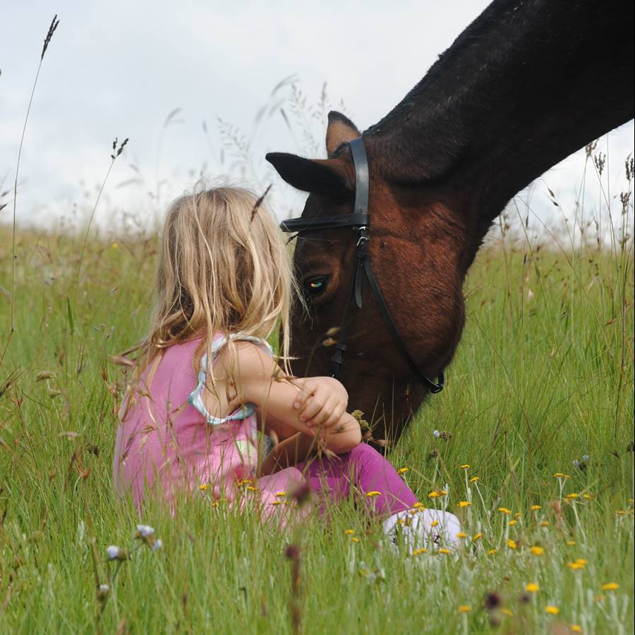 Terapia asistida con animales para niños: cómo ayuda