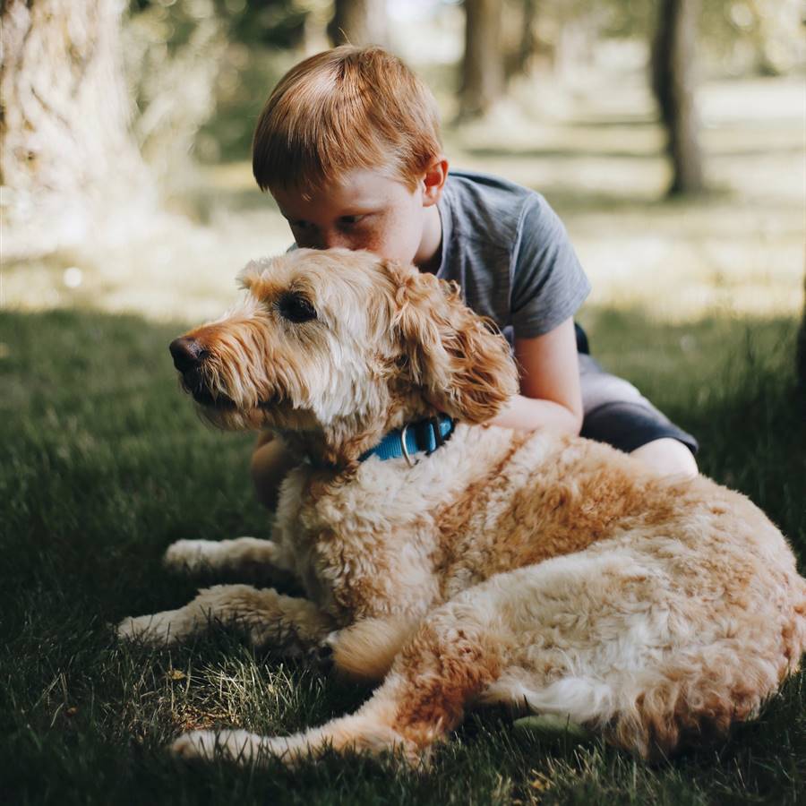 7 beneficios que obtiene un niño si está en contacto con animales