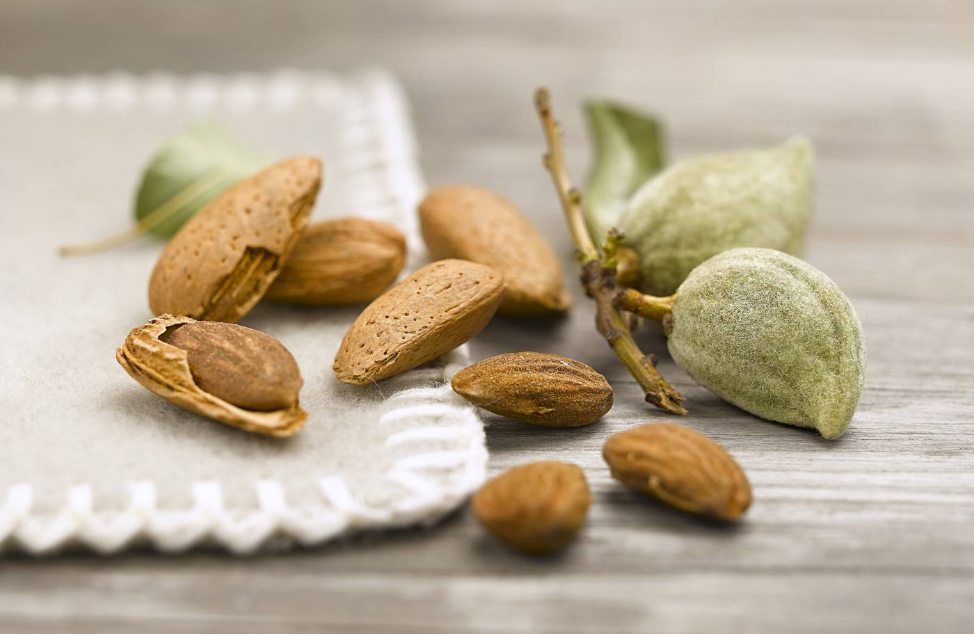 ALMENDRA (1)