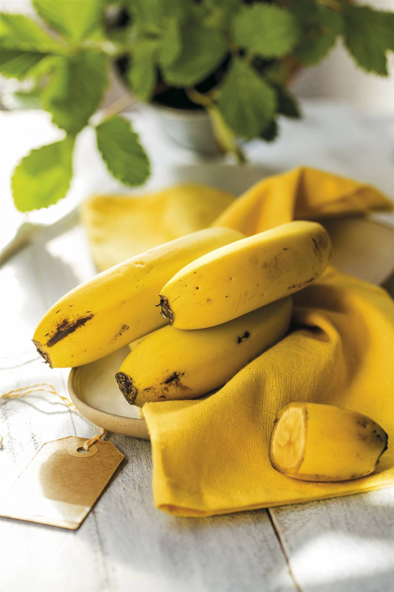 Plátano
