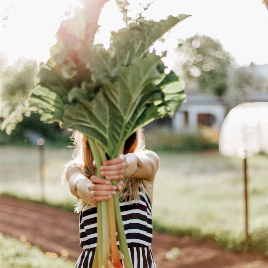 11 claves para que tu alimentación sea autosuficiente y sostenible
